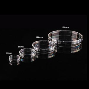 Dish دیش