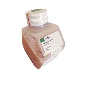 FBS (Fetal Bovine Serum)