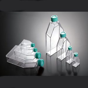 Flask فلاسک